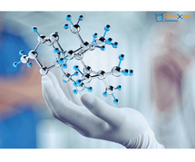 Navigating Pharma Excellence: A Global Insight with Chemxpert Database