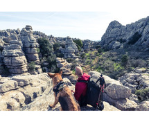 Unleash the Thrill: Discover Spain's Best Adventurous Activities with BookTrip4u!