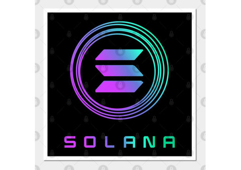 What feature makes Solana meme coins shines in the 2024 crypto market?