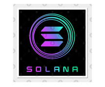 What feature makes Solana meme coins shines in the 2024 crypto market?