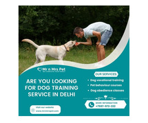 Are You Looking For Dog Training Service in Delhi