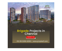 Brigade Projects in Chennai