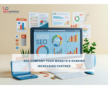 SEO Company In Delhi