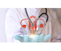 OBGYN MD: Mastering Women's Health Care