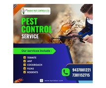 Affordable Termite Control Service in Bhubaneswar