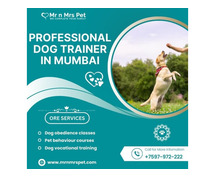 Professional Dog Trainer in Mumbai