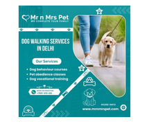 Are You Looking For Dog Walking Services in Delhi