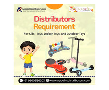 Kids Outdoor Toys Distributorship: Your Path to Success