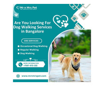 Professional Dog Walking Services in Bangalore