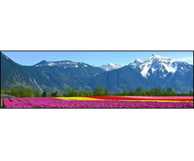 KASHMIR PACKAGE TOUR FROM BANGALORE