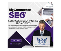 BigCommerce SEO Services & Ecommerce SEO Agency