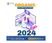 Organic seo services in india 2024