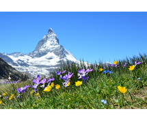 Alps & Elegance: Luxury Switzerland Tour Packages from India