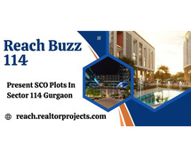 Reach Buzz Sector 114 Sco Plots - Invest Today, Profit Tomorrow