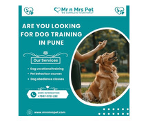 Are You Looking For Dog Training in Pune