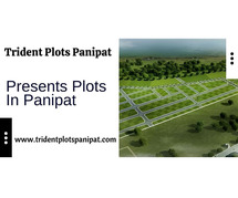 Trident Plots Panipat - Your Foundation For A Bright Future