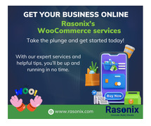 Best Website Designing & Software Development Company in India || Rasonix