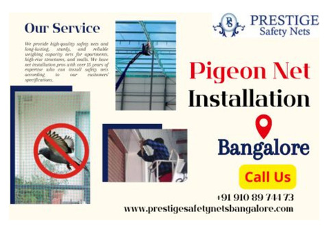 Secure Your Balcony with the Best Pigeon Safety Nets in Bangalore!