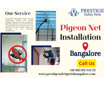 Secure Your Balcony with the Best Pigeon Safety Nets in Bangalore!