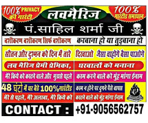 Top World Famous Astrologer in India +91-9056562757