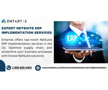 Expert NetSuite ERP Implementation Services