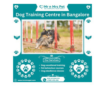 Professional Dog Training Centre in Bangalore