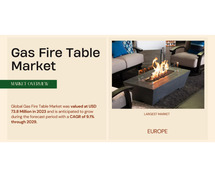 Gas Fire Table Market Insights Anticipated Growth, Key Players, and Trends Leading to {2029}