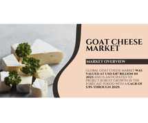 Goat Cheese Market Report {2029}: Size, Share, and Growth Trends Through 2029