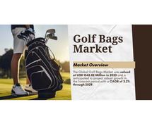 Golf Bags Market Analysis: Key Players, Trends, and 3.2% CAGR Forecast for {2029}