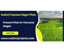 Own A Plot In Yamuna Nagar With Godrej Group