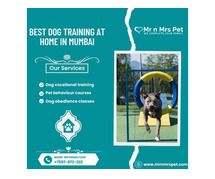 Best Dog Training at Home in Mumbai