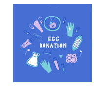 Egg Donation Programs in India for IVF Treatment