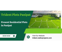 Invest In Tomorrow With Trident’s Upcoming Plots In Panipat