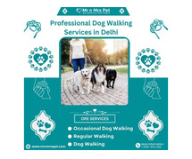 Professional Dog Walking Services in Delhi