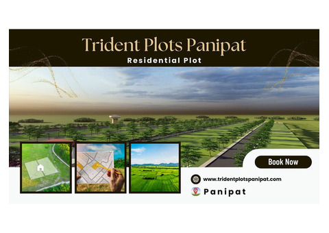 Trident Plots Panipat - Live In The Luxury Of Detail