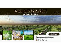 Trident Plots Panipat - Live In The Luxury Of Detail