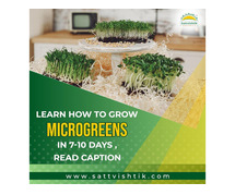 Fresh Organic Microgreens Delivered to Your Door