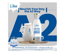 Buy Pure A2 Gir Cow Milk | 100% Natural & Organic A2 Milk for a Healthier Lifestyle