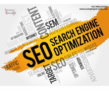 Professional Seo Services in Jaipur