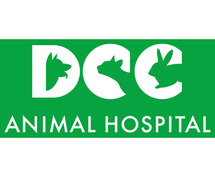 Best New Delhi Veterinary Clinic Near Me - DCC Animal Hospital