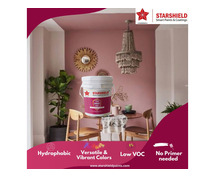 Star Smart Paint - Anti Fade UV Resistant