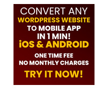 Convert WordPress site to mobile app