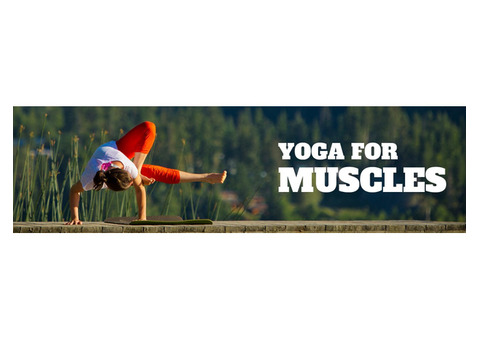 Dynamic Yoga Sequences for Enhanced Muscle Tone