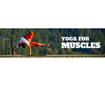 Dynamic Yoga Sequences for Enhanced Muscle Tone