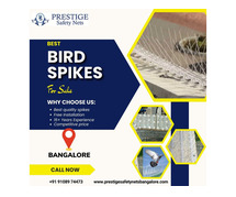 Protect Your Property from Birds in Bangalore with Prestige Safety Nets' Premium Bird Spikes