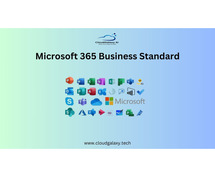 Maximizing Productivity with Microsoft 365 Business Standard