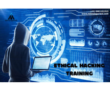 Ethical hacking training