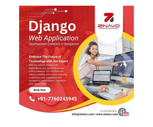 Django web application development company