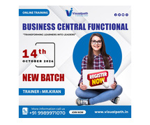 Online New Batch on Business Central Functional