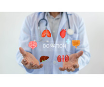 Organ Donation Made Easy: A Simple Guide